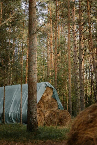 Protect Your Farm and Garden This Spring: The Essential Role of Tarps.