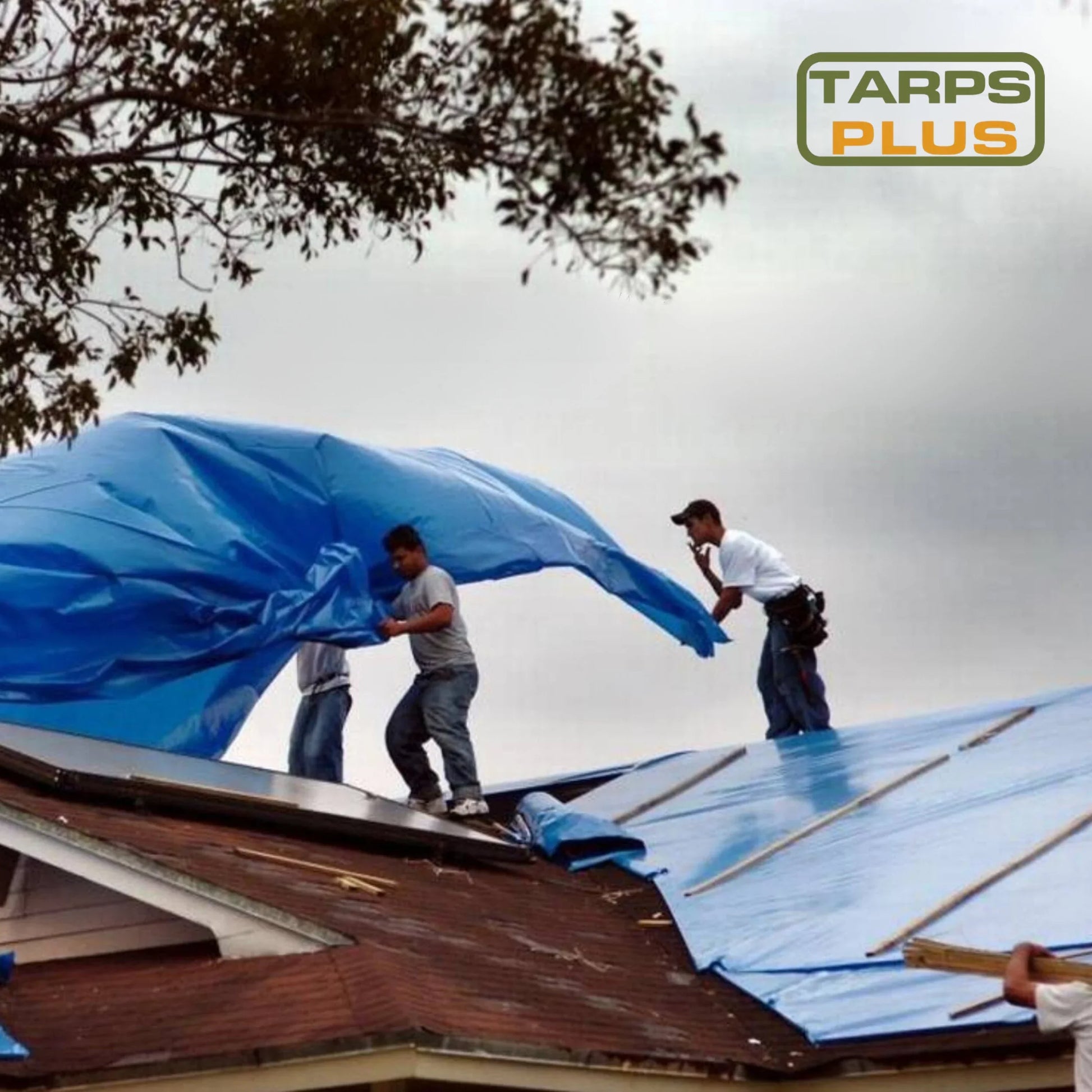 Blue Poly Tarp 15' x 30' by Tarps Plus