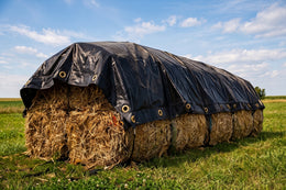 Tarps Plus Review